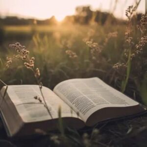 O Agir de Deus na Vida de Bartimeu: Lições de Fé e Determinação