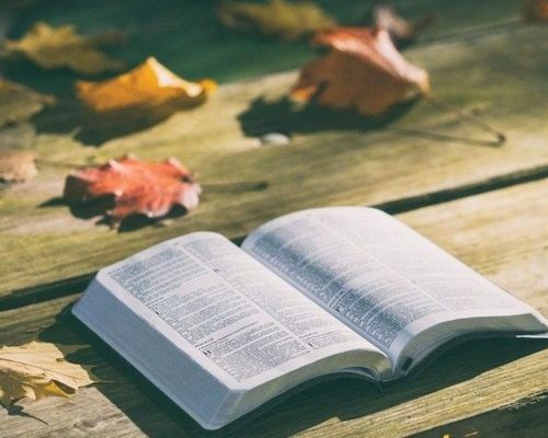 Tudo Coopera Para o Bem – Refletindo sobre Romanos 8:28